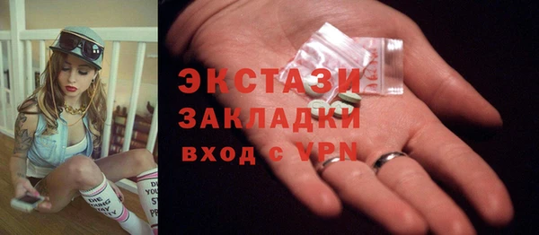 мдпв Каменка