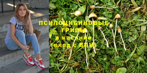 мет Аркадак