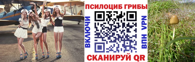 Галлюциногенные грибы мицелий  Лихославль 