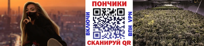 Конопля индика Лихославль